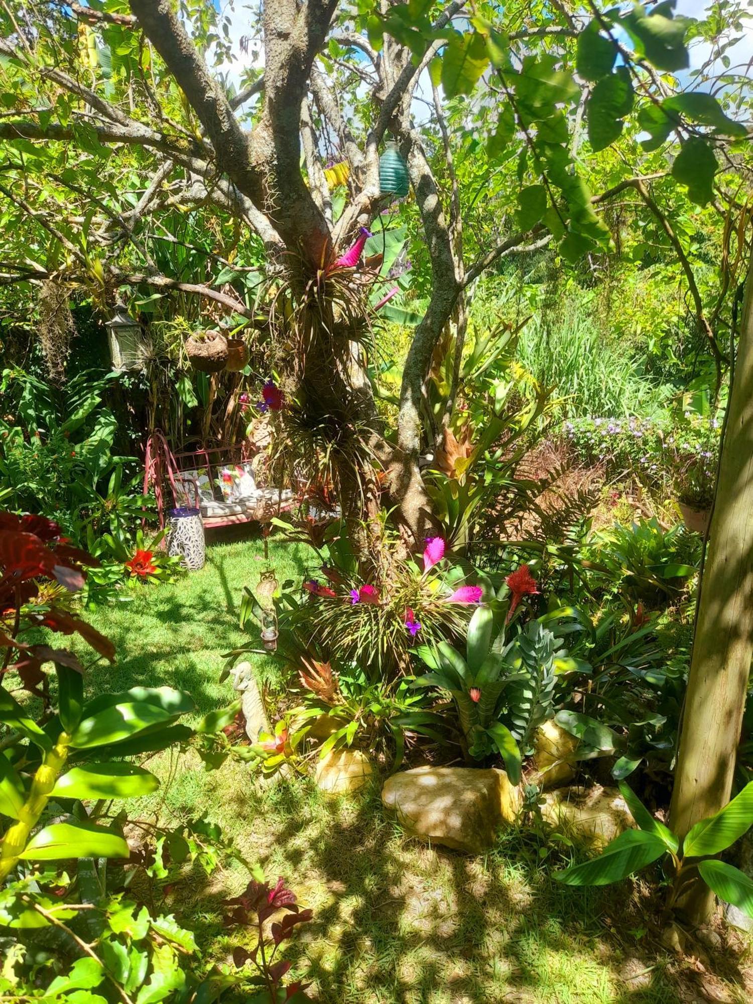 Casa De Vidro Lägenhet Petrópolis Exteriör bild
