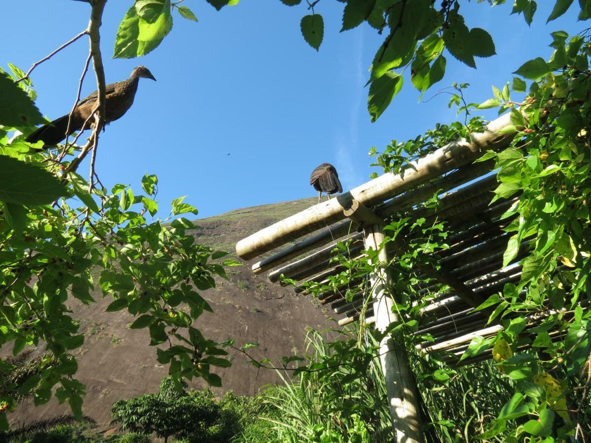 Casa De Vidro Lägenhet Petrópolis Exteriör bild